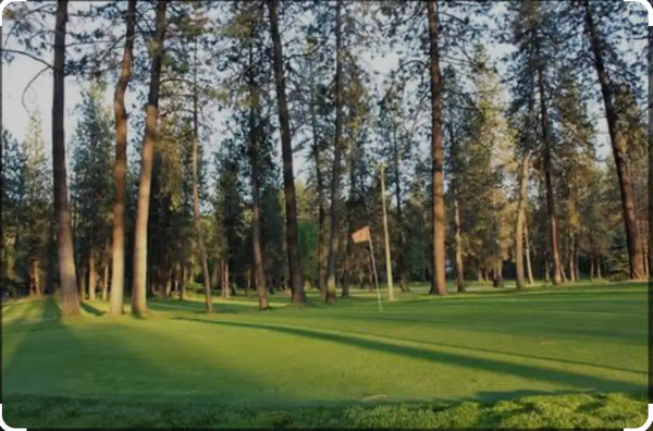 Exploring the Appeal of Par Three Golf Courses in the Pacific Northwest